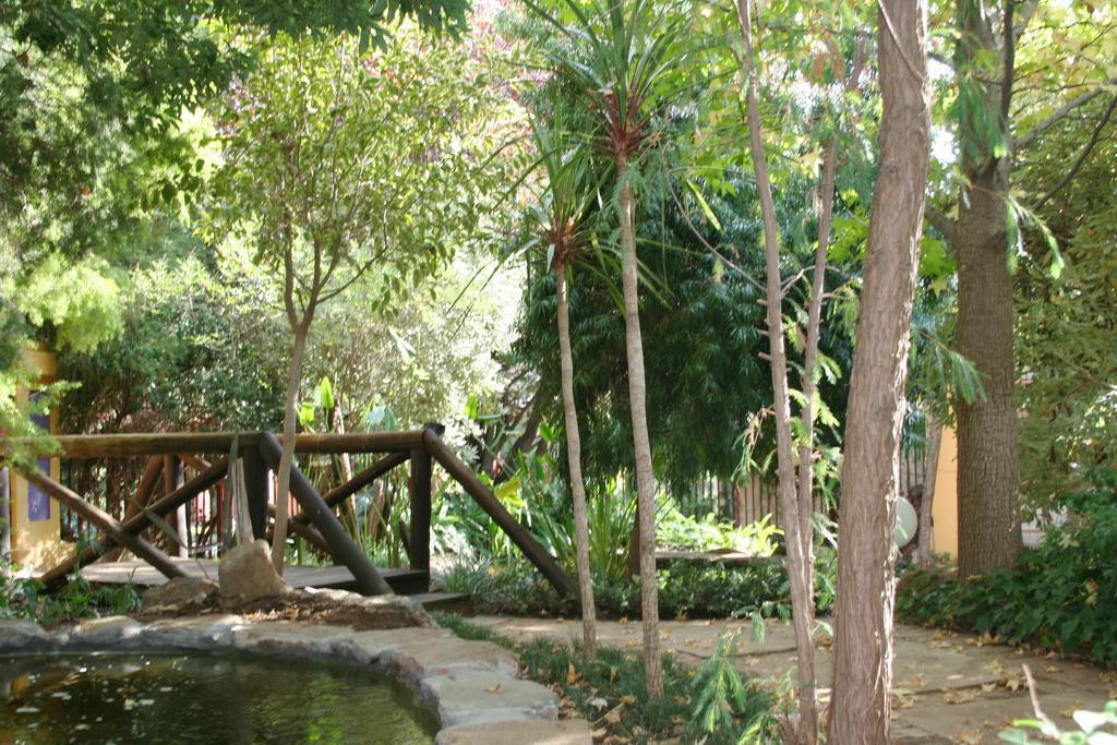 Jedidja Bed And Breakfast Блумфонтейн Экстерьер фото